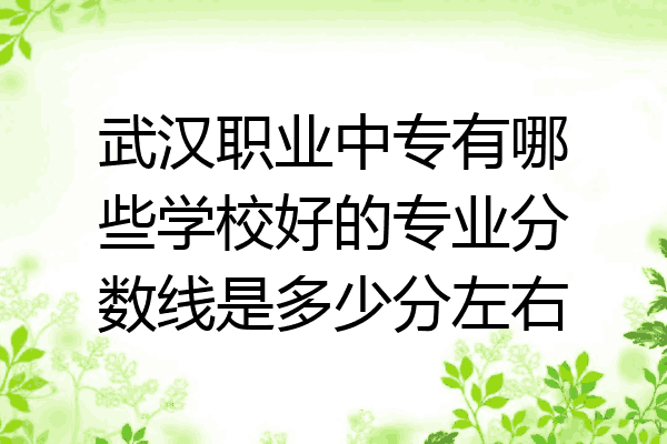 武汉职业中专有哪些学校好的专业分数线是多少分左右