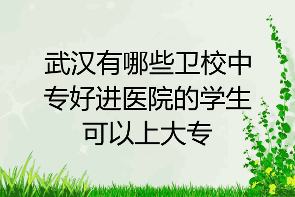 武汉有哪些卫校中专好进医院的学生可以上大专