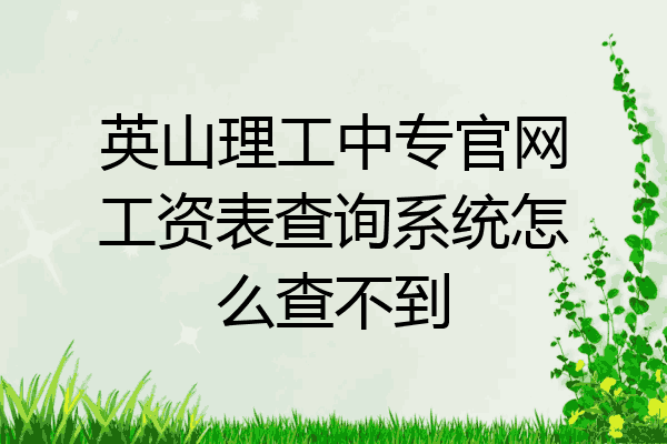 英山理工中专官网工资表查询系统怎么查不到