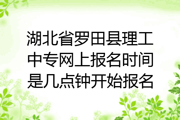 湖北省罗田县理工中专网上报名时间是几点钟开始报名