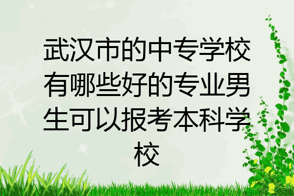 武汉市的中专学校有哪些好的专业男生可以报考本科学校