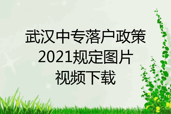 武汉中专落户政策2021规定图片视频下载