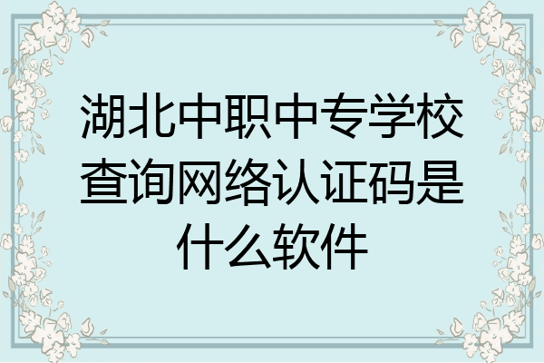 湖北中职中专学校查询网络认证码是什么软件