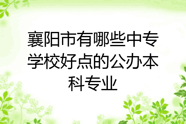 襄阳市有哪些中专学校好点的公办本科专业