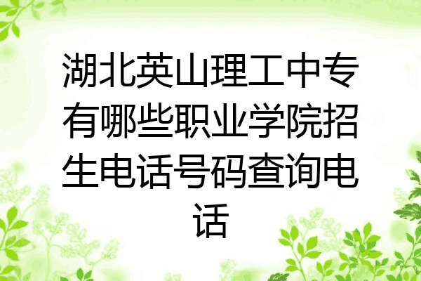 湖北英山理工中专有哪些职业学院招生电话号码查询电话