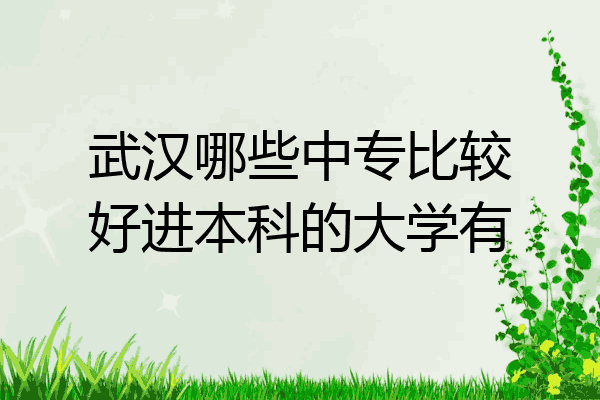 武汉哪些中专比较好进本科的大学有