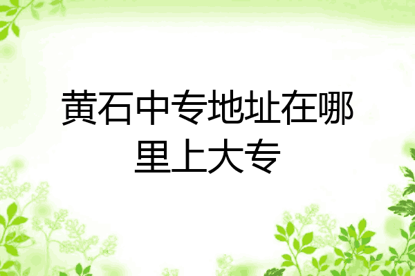 黄石中专地址在哪里上大专