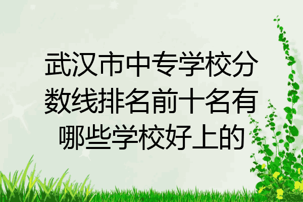 武汉市中专学校分数线排名前十名有哪些学校好上的