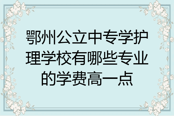 鄂州公立中专学护理学校有哪些专业的学费高一点