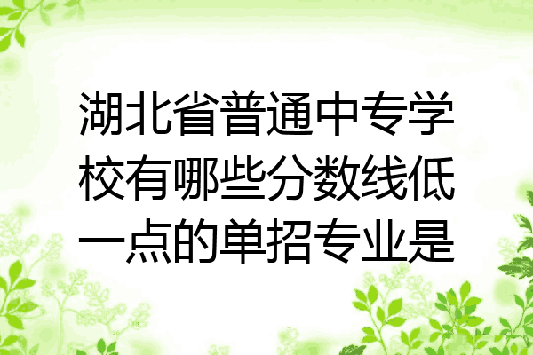 湖北省普通中专学校有哪些分数线低一点的单招专业是