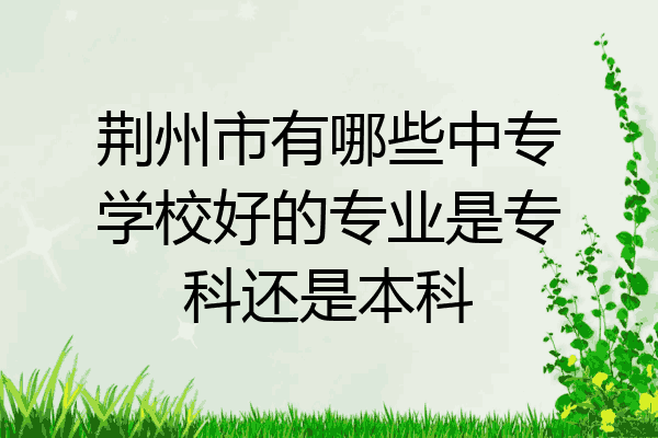 荆州市有哪些中专学校好的专业是专科还是本科