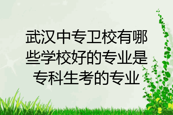 武汉中专卫校有哪些学校好的专业是专科生考的专业