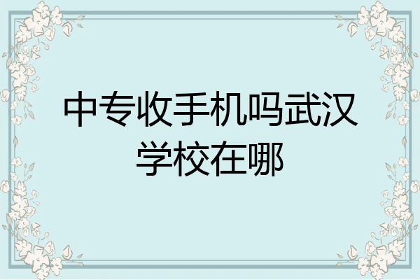 中专收手机吗武汉学校在哪