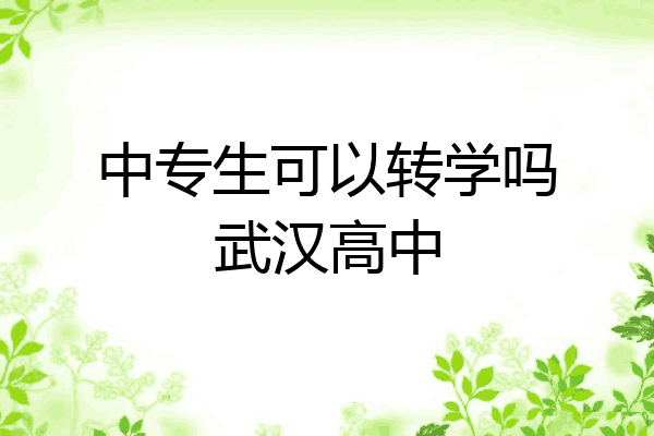 中专生可以转学吗武汉高中