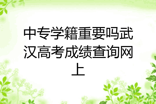 中专学籍重要吗武汉高考成绩查询网上
