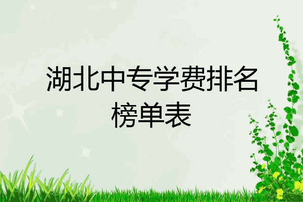 湖北中专学费排名榜单表