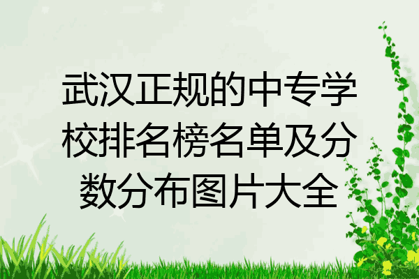 武汉正规的中专学校排名榜名单及分数分布图片大全