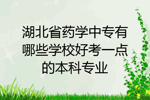 湖北省药学中专有哪些学校好考一点的本科专业