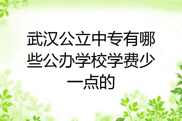 武汉公立中专有哪些公办学校学费少一点的