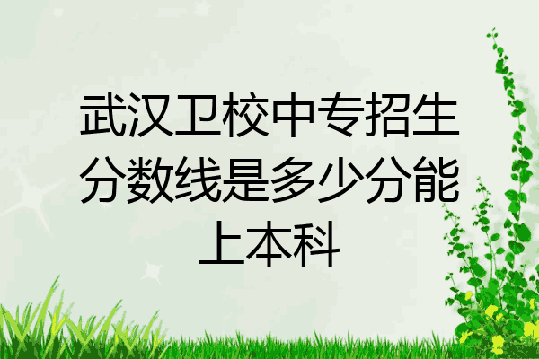 武汉卫校中专招生分数线是多少分能上本科