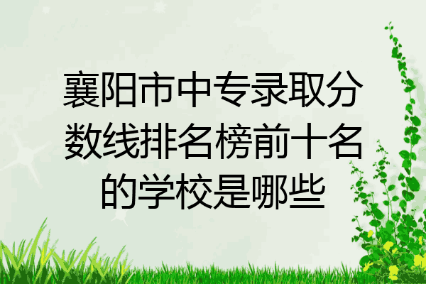 襄阳市中专录取分数线排名榜前十名的学校是哪些