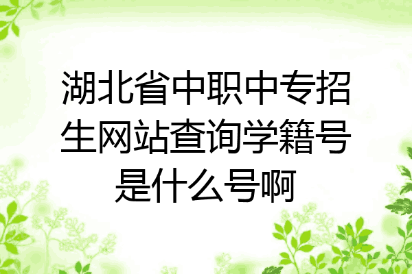湖北省中职中专招生网站查询学籍号是什么号啊