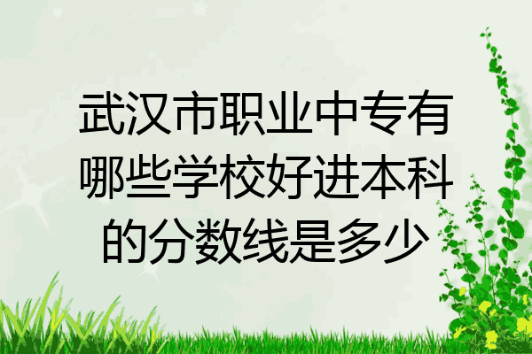武汉市职业中专有哪些学校好进本科的分数线是多少