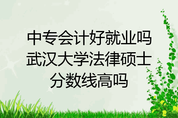 中专会计好就业吗武汉大学法律硕士分数线高吗