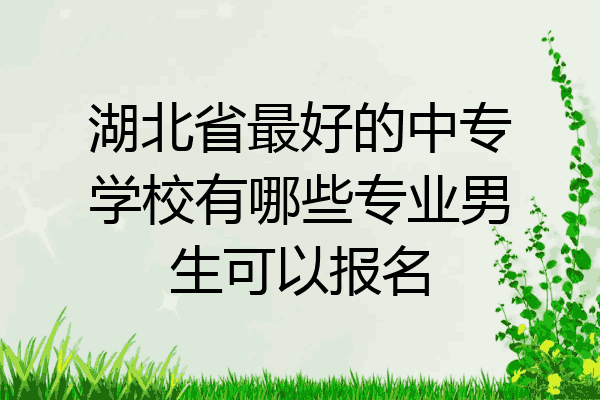 湖北省最好的中专学校有哪些专业男生可以报名
