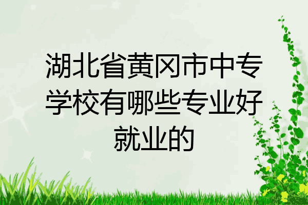 湖北省黄冈市中专学校有哪些专业好就业的