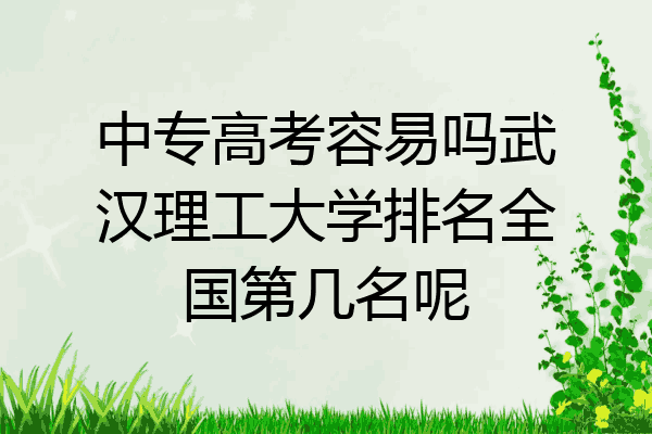 中专高考容易吗武汉理工大学排名全国第几名呢