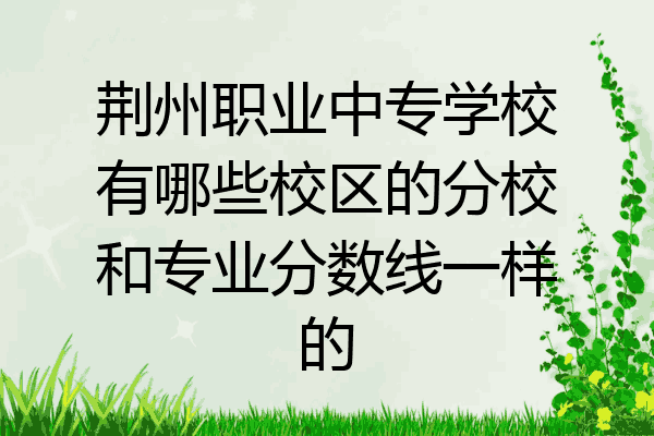 荆州职业中专学校有哪些校区的分校和专业分数线一样的