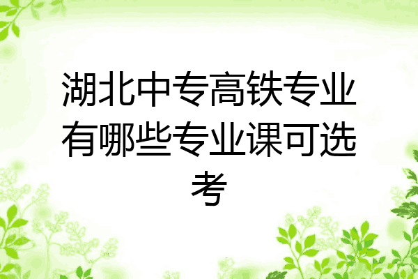 湖北中专高铁专业有哪些专业课可选考