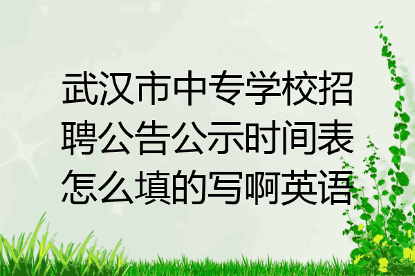 武汉市中专学校招聘公告公示时间表怎么填的写啊英语