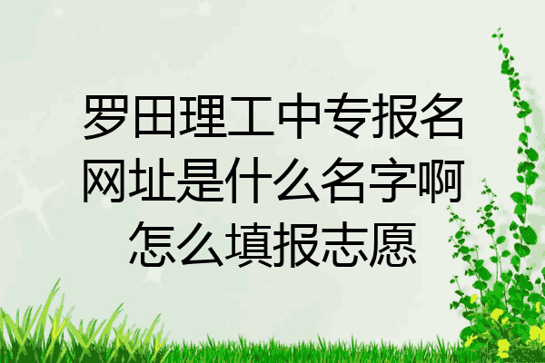 罗田理工中专报名网址是什么名字啊怎么填报志愿