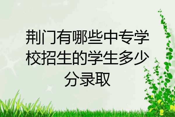 荆门有哪些中专学校招生的学生多少分录取