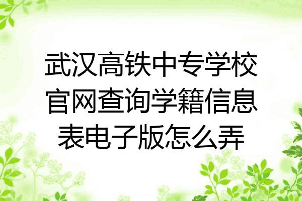 武汉高铁中专学校官网查询学籍信息表电子版怎么弄