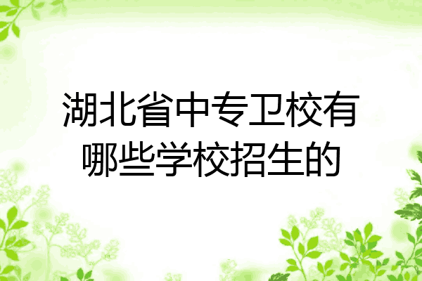 湖北省中专卫校有哪些学校招生的