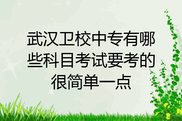 武汉卫校中专有哪些科目考试要考的很简单一点