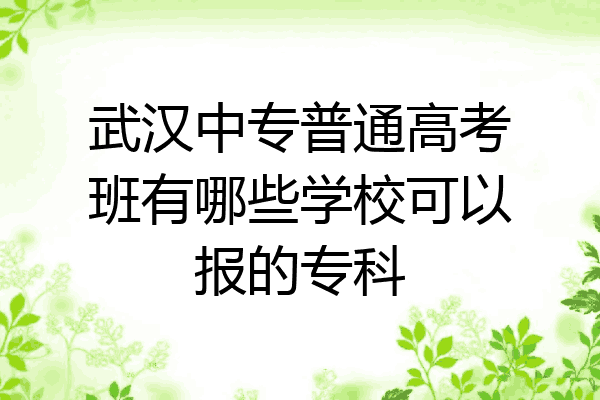 武汉中专普通高考班有哪些学校可以报的专科