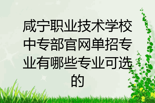 咸宁职业技术学校中专部官网单招专业有哪些专业可选的