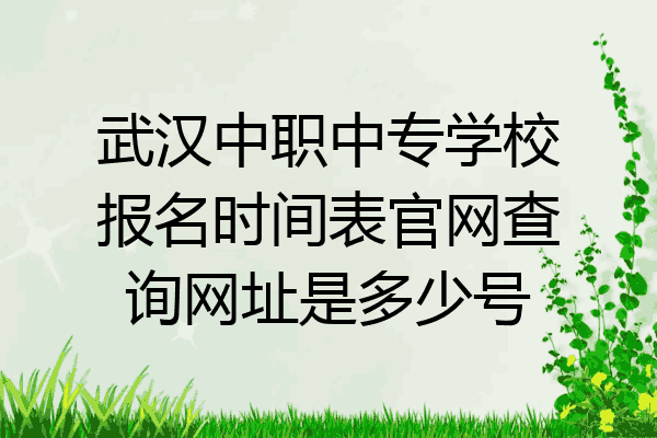 武汉中职中专学校报名时间表官网查询网址是多少号