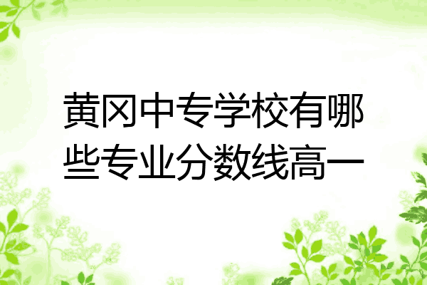 黄冈中专学校有哪些专业分数线高一