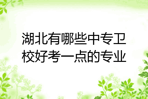湖北有哪些中专卫校好考一点的专业