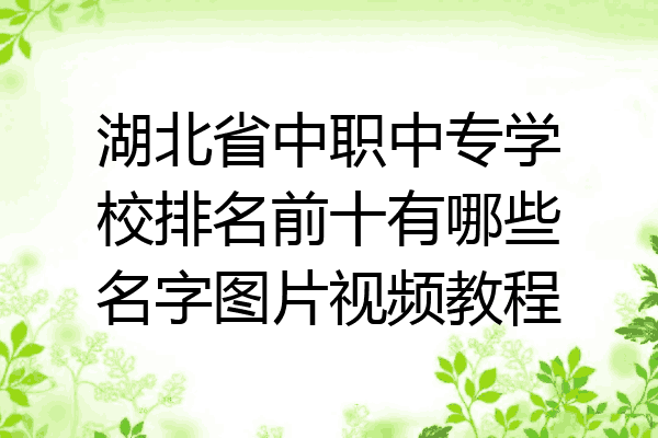 湖北省中职中专学校排名前十有哪些名字图片视频教程