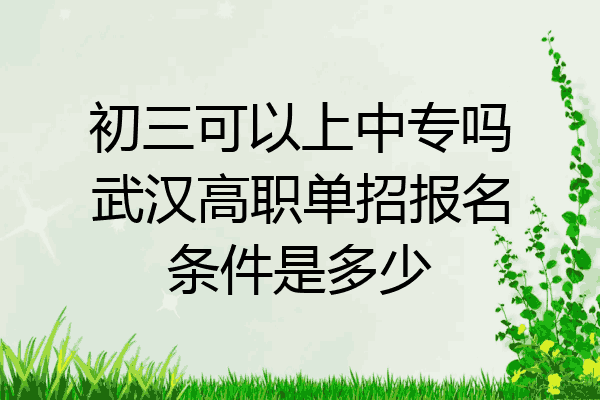 初三可以上中专吗武汉高职单招报名条件是多少