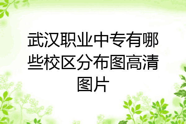 武汉职业中专有哪些校区分布图高清图片