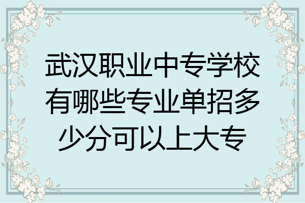 武汉职业中专学校有哪些专业单招多少分可以上大专