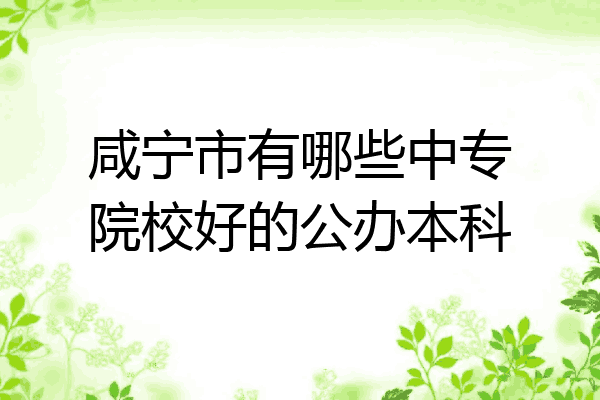 咸宁市有哪些中专院校好的公办本科