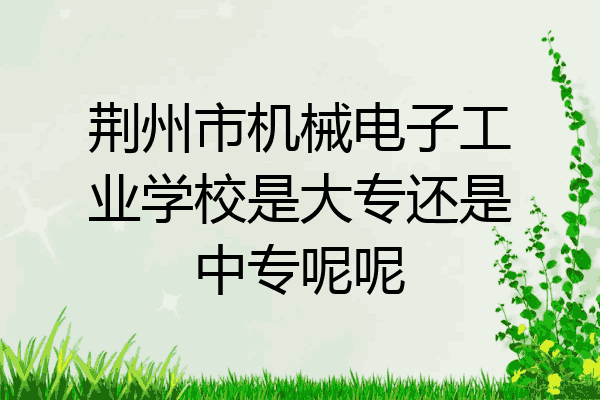 荆州市机械电子工业学校是大专还是中专呢呢